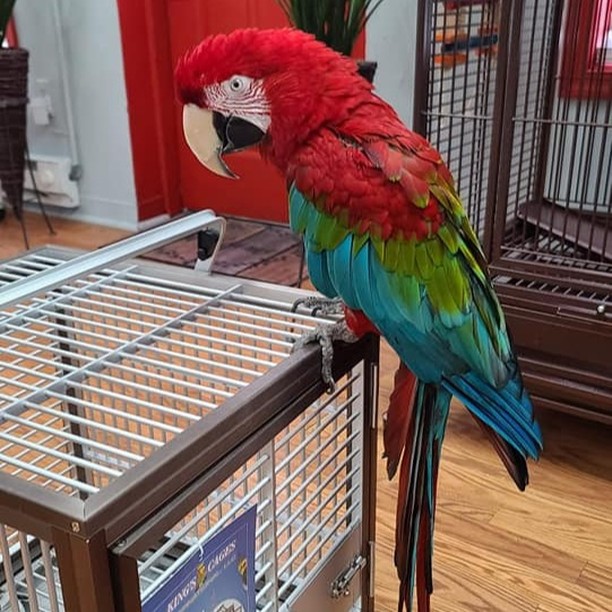 SaveClip.App_659605354_18576138736015289_1816979279770317423_n.jpg